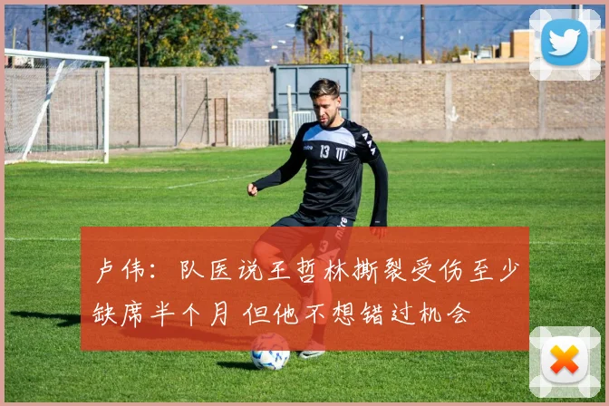 卢伟:队医说王哲林撕裂受伤至少缺席半个月 但他不想错过机会